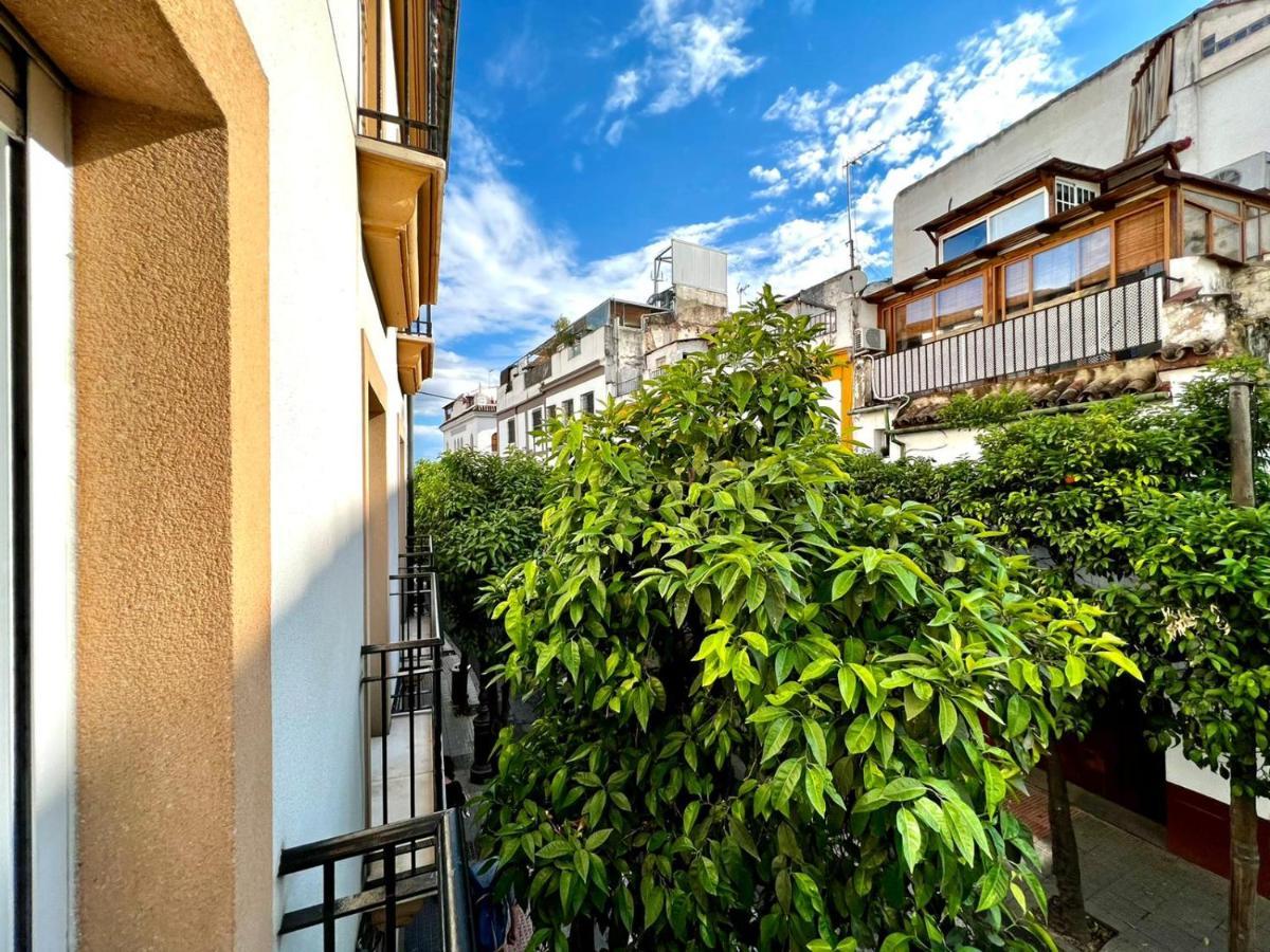San Fernando De La Ribera Apartman Córdoba Kültér fotó